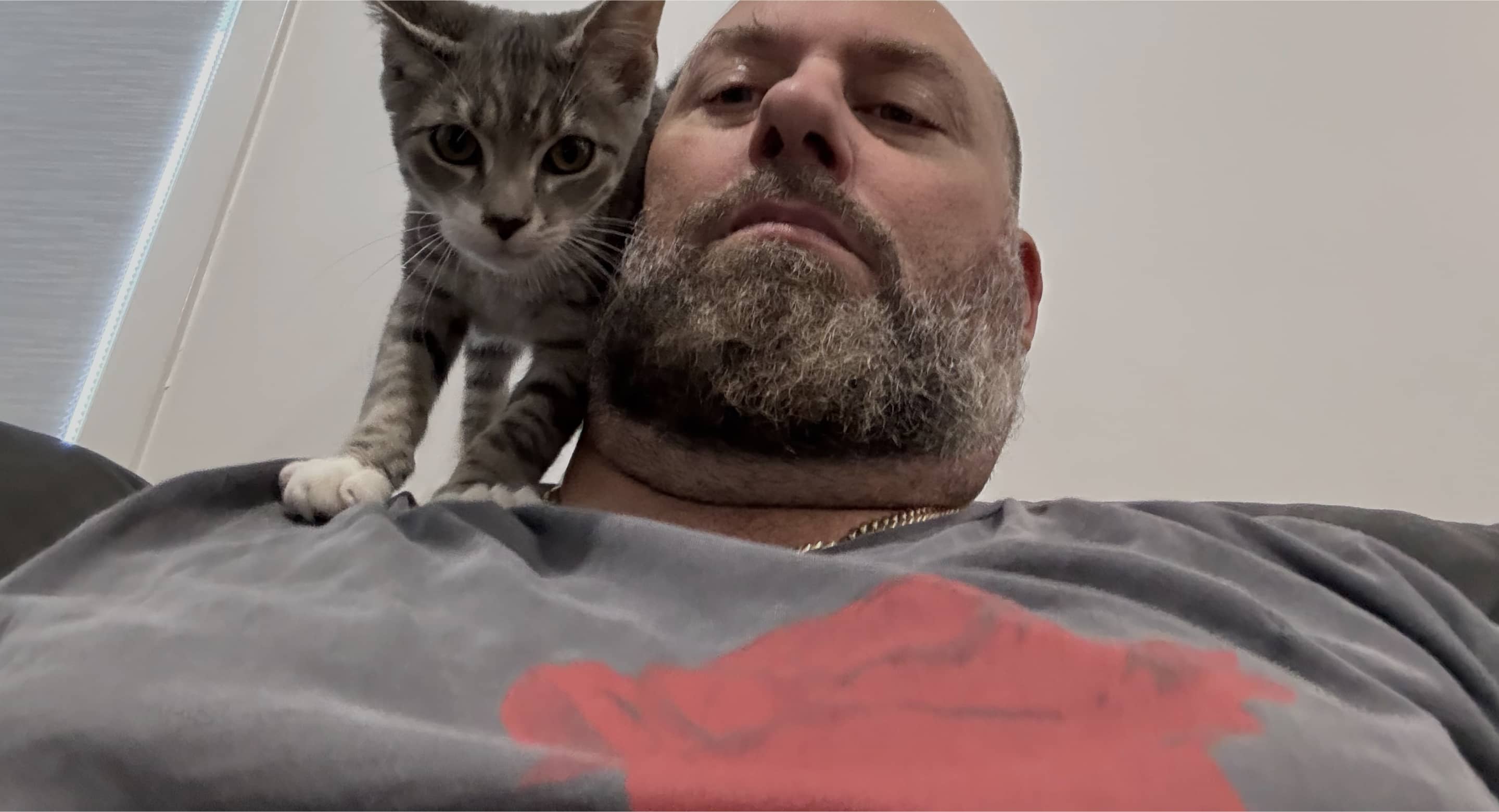 Cute Cat